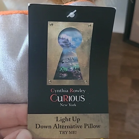 Cynthia Rowley pillow - Picture 7 of 10